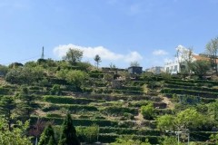 英超焦点战：阿森纳惨败，利物浦绝杀传奇，赛季悬念升级